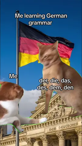 Well, at least I’m trying 😅 #meme #viral #memes #funny #funnymeme #viralmeme #tiktok #funnytiktok #funnyvideos #trend #trending #language #LanguageLearning ##deutsch #german #germanlanguage #deutschememes #germanmeme 