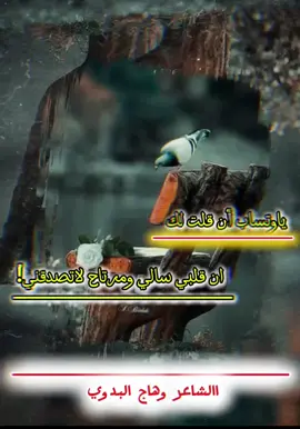 ياوتساب أن قلت لكان قلبي سالي ومرتاح لاتصدقني
