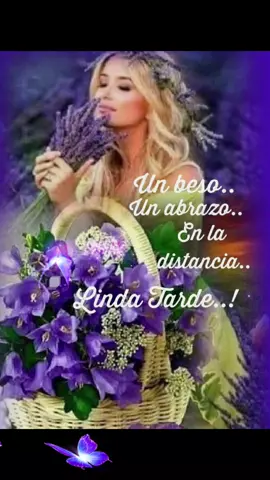 Hermosa tarde Amigos! 😘🌹🙋‍♀️ #flores #longervideos ##videos #tiktok #viral #family #amor #feliz #bonita #linda #bella #belleza #happy #tarde #bendiciones #julio #viralsong #viralvideos  #viral #viraltiktok #viral_video #viralvideostiktok 