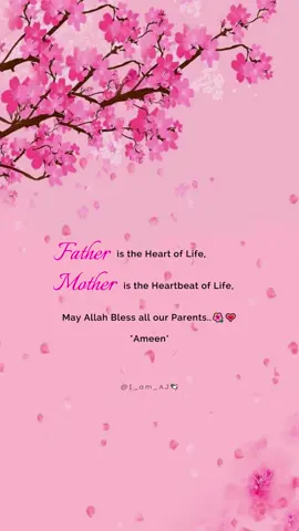 Ameen_Sum_Ameen🤲🏻🌺💗 | #Allah #ameen #father #mother #bless #ajmehar355 #I_am_AJ #foryou #viral #trending #myedits #lines #100k #1million #hellotik