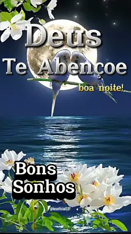 BOA NOITE! #boanoite #statuswhatsapp #mensagemdeboanoite #cristao #videos #foryu #tiktokviral 