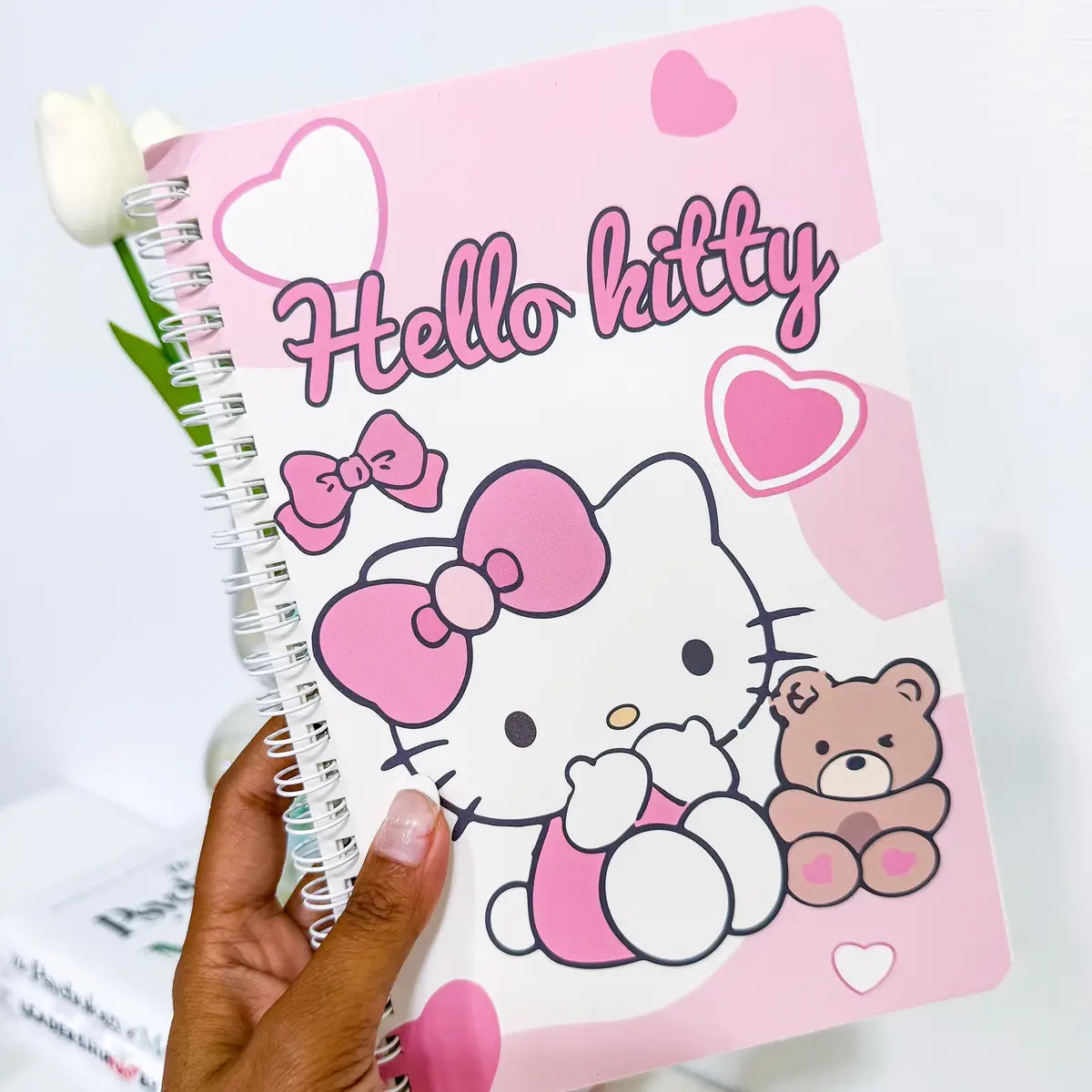 9 New Hello Kitty notebooks are now listed on our website! 🛒
