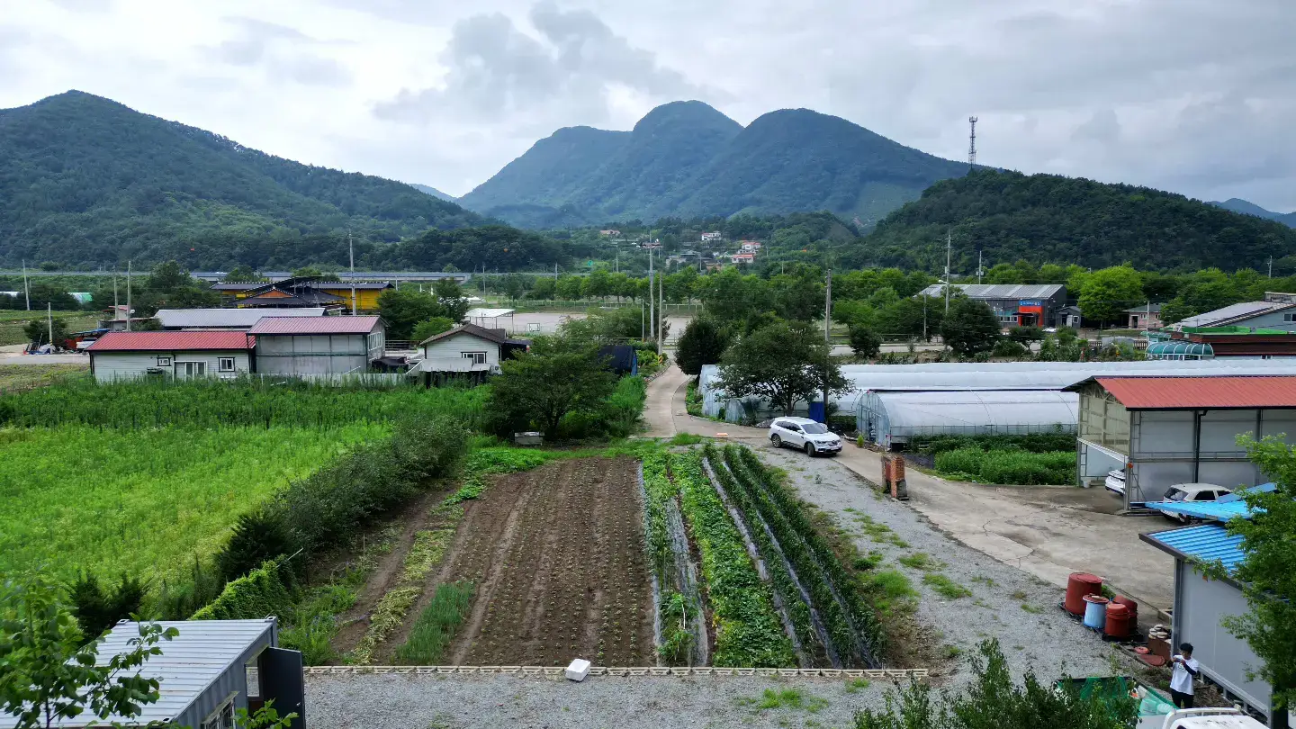 여러분, 안녕하세요. 문소장입니다. 전북 완주군 운주면 장선리에 위치한 토지 매물을 안내해 드리겠습니다. 이 매물은 운주면 생활권을 도보로 이용할 수 있으며, 탁 트인 아름다운 풍경이 특징입니다. 2차선 도로에서 약 50m 들어오면 편리하게 접근할 수 있습니다. 소유주가 이미 토목 및 건축 허가를 받아 언제든지 건축이 가능합니다. 운주면은 맑은 계곡이 많고, 대둔산과도 가깝습니다. 금산, 논산, 대전, 전북 지역으로의 이동도 편리합니다. 토지 매입비에 들어간 순수 토목 및 건축 허가 비용을 받고 원가에 넘기는 조건입니다. 해당 매물의 더 자세한 사항은 유튜브 문소장 채널의 634번 매물에서 확인해 주세요. 감사합니다. 거래형태 : 매매 위치 : 충남 완주군 운주면 장선리 (매도인요청, 이하주소 비공개) 지목 : 전, 답 토지면적 : 1026㎡(구310.4평) 용도지역 : 계획관리지역 등 매매가격 : 1억6천만원 특징 *필지 5필지 *토목 및 건축 허가 *면소재지 도보  *서,남향 가능 #전원주택 #시골집 #귀농 #귀촌 #전원생활 #시골생활 #실거주 #세컨하우스 #전원주택매매 #시골집매매 #농가주택 #전원주택임대 #전원주택구매 #시골집임대 #시골집구매 #귀농귀촌 #농촌생활 #전원마을 #주말농장 #전원주택추천 #시골집추천 #농촌주택 #전원주택전문 #시골집전문 #주말주택 #시골정착 #힐링하우스 #자연속집 #전원생활꿈 #시골라이프 