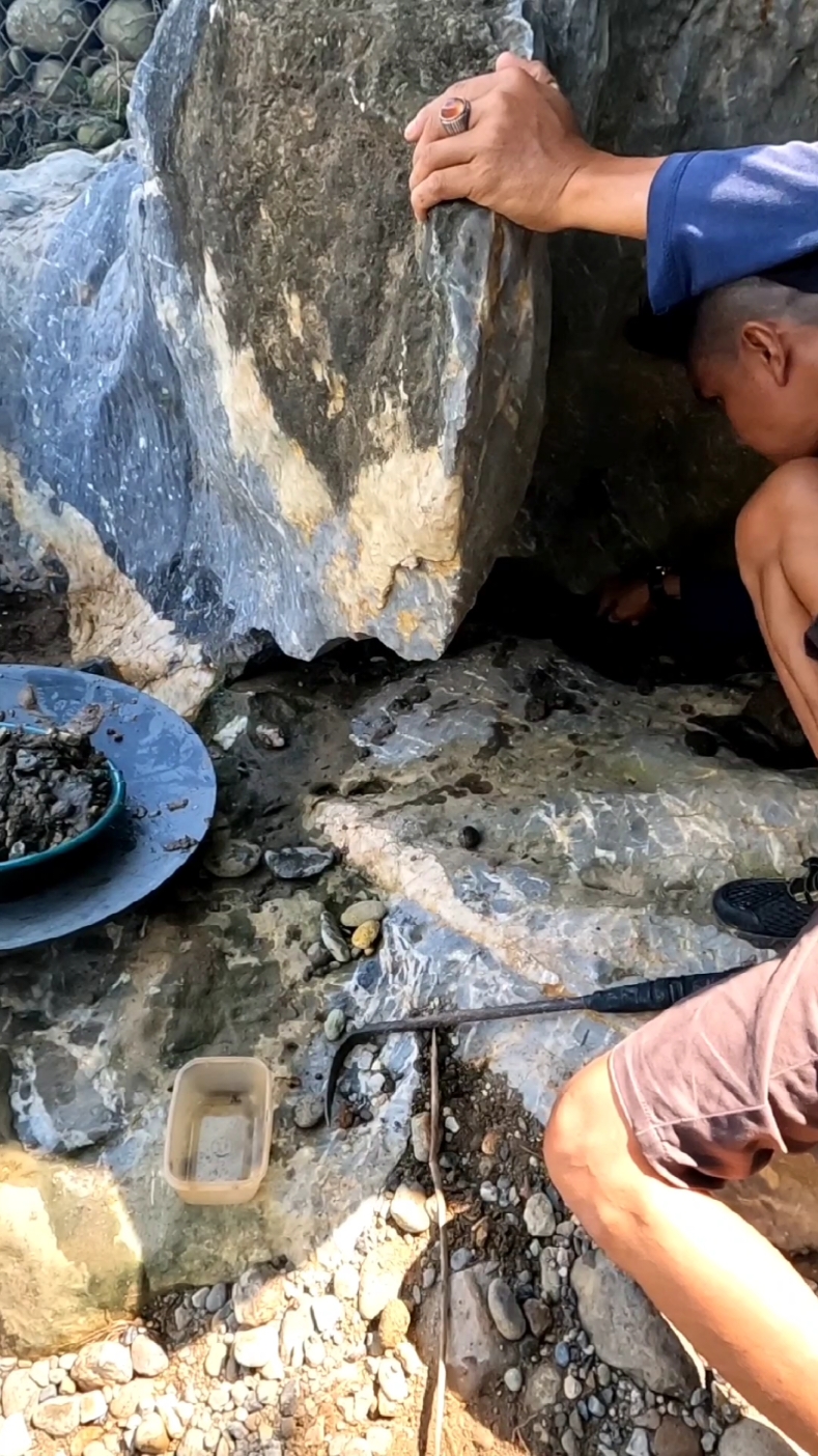 Discovery of 1000+ Quartz Veins,!!! I panned the material underneath and found a lot of gold, I imagine one day I will process the quartz veins,, good morning friends of Amrin Prospecting, may we all be given abundant wealth by God Almighty, amen 🤲🏻.. I am someone who likes to look for new things related to gold when I was still working at one of the leading gold mining companies in the world at that time I was a geology team (survey) and it turns out that until now I have actually found many gold locations but I still like to survey and hope to continue to find new gold rivers,, yes, may we all always be healthy. 🤲🏻 and I continue to find many new gold locations.