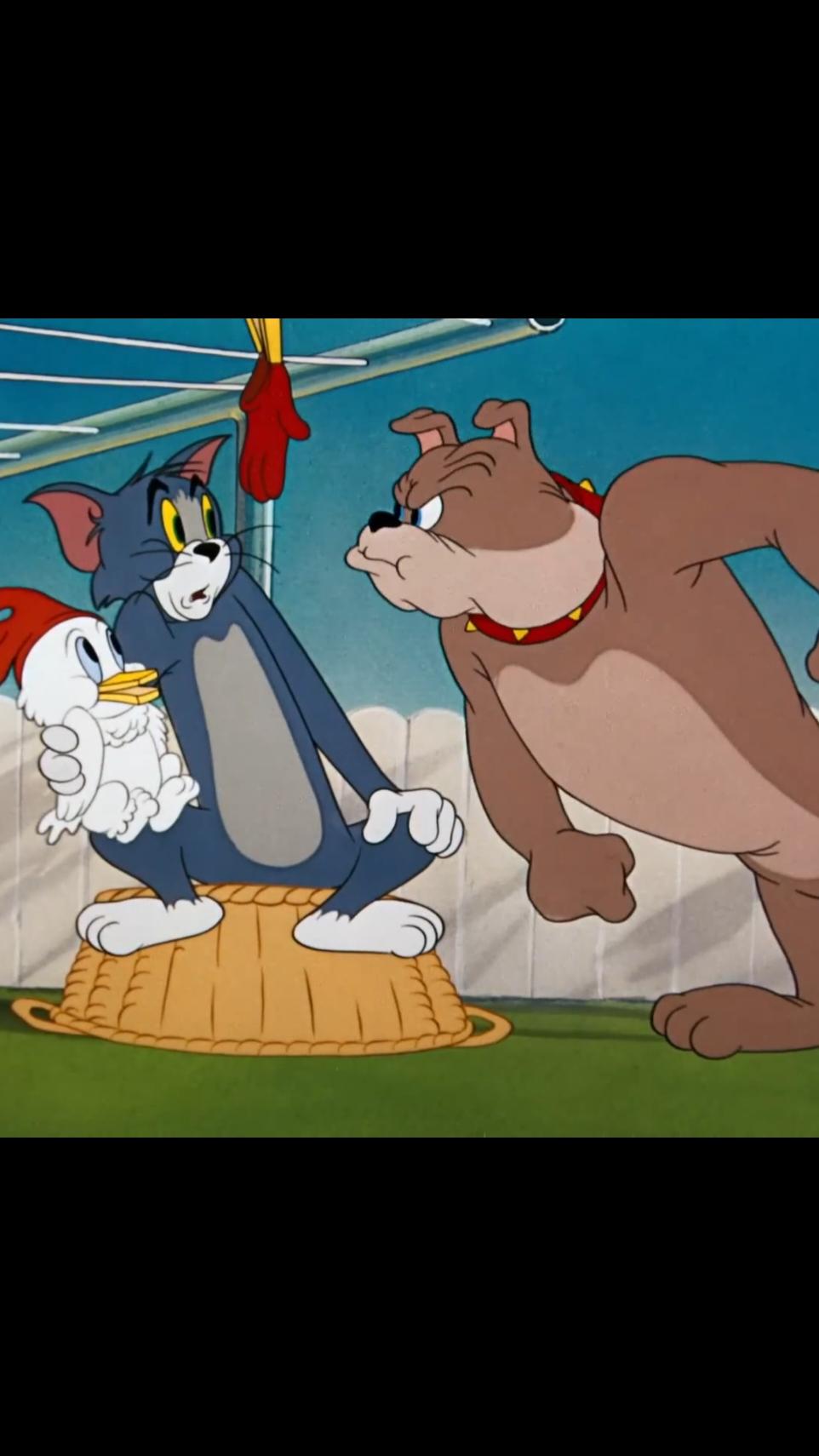 #cartoon #tomandjerry #tom #animation 