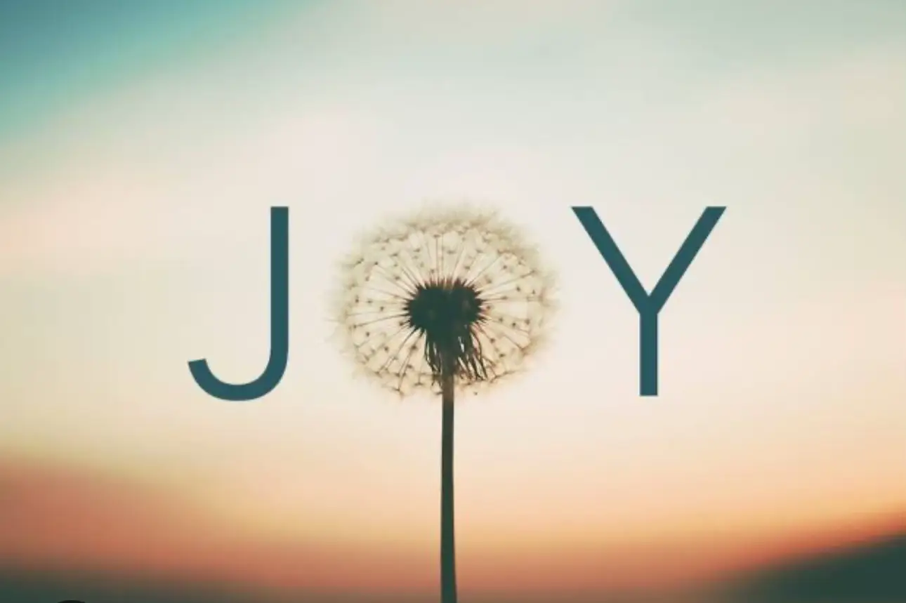 Joy is nothing you buy ,nothing on tv its a flower ,.its a smile ,it helping someone out  the.  simple thing , the smallest thing ,make it a part of your day what brings you joy in a whole say :) commet below so we can smile at your joy #joy#paris #austraila#germany #paris#happy #japan 