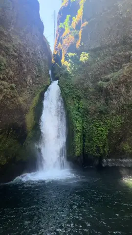 Oregon’s beauty never fails to amaze😍🌲!! . . . #oregonplayground #pnw #liveloveplay #thegorg #portlandoregon #oregon #nature #explore #waterfall #adventure #wahcellafalls #Summer #Home 