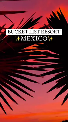 If you are a foodie - 10/10 this is the move #tiktoktravel #traveltips #loscabos #nobuloscabo #cabo 