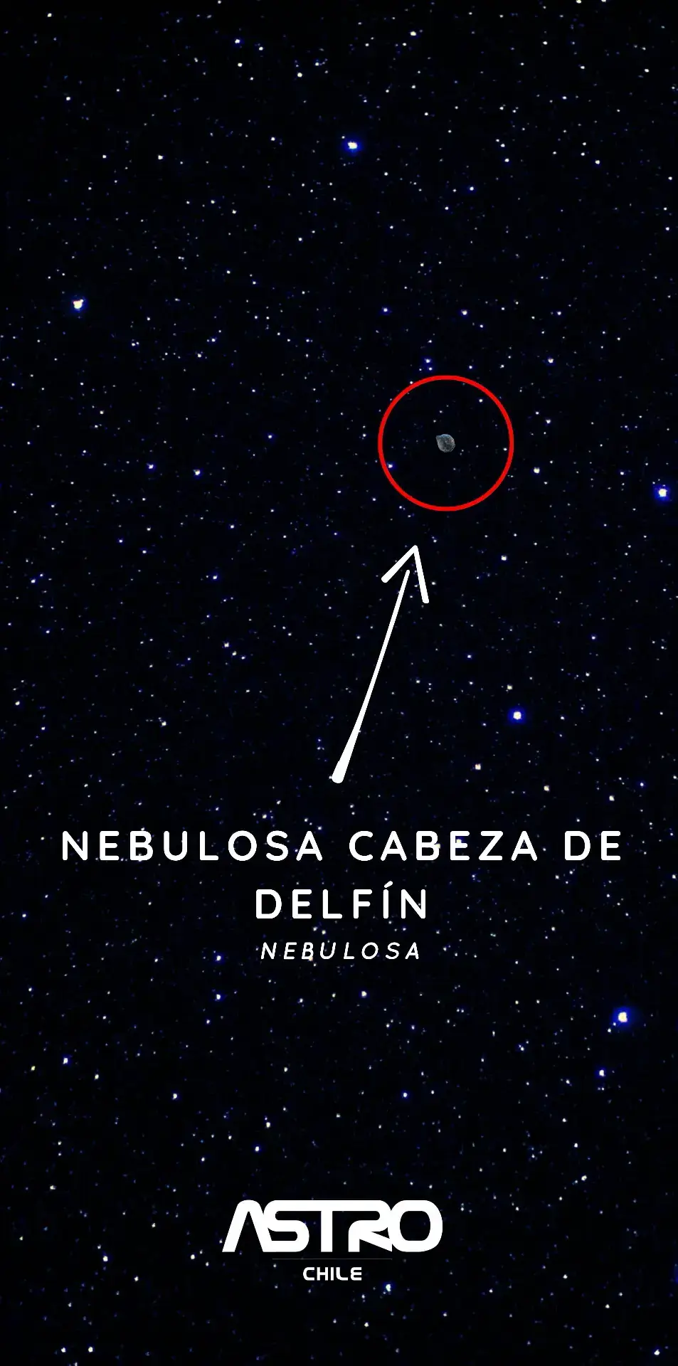 Está NEBULOSA es una gran burbuja cósmica expulsada desde una enorme estrella de tipo Wolf-Rayet en el centro, está estrella probablemente se convierta en supernova en el futuro. #astrochile #SabiasQue #astronomia #cosmos #wolfrayet #cienciaentiktok 