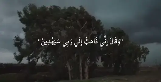 الوجهة التي لاتخذل صاحبها أبدا ❤️‍🩹#وقال_اني_ذاهب_إلى_ربي_سيهدين #سلام_على_نوح_في_العالمين #ياسر_ممدوح 