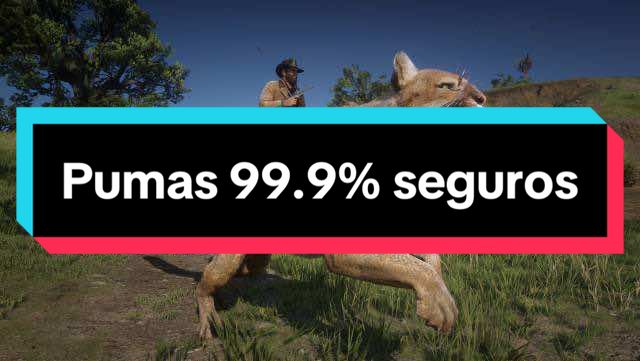 Tutorial para que aparezcan Pumas en RDR2, Ayuda para desafio matar y despejellar 5 pumas #rdr2 #cazador #desafiocazador #reddeadredemption2 #pumas 