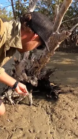 #survival #bushcarft #fishing #huntingcrab #viralvideo