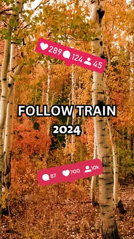 #followtrain2024 #viral #following #follower #roadto10k #trend #10kfollower #fyp #🦋🦋🦋🦋 