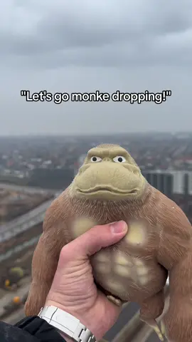 Monke is quite literally indestructible lmao 🦧 #fypシ゚ #viral #linkinbio #monkeworld #indestructible #skibidi 