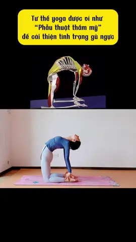 Tư thế yoga được ví như phẫu thuật thẩm mỹ để cải thiện tình trạng gù lưng ! #yoga #yogaonline #xuhuong #phunu 