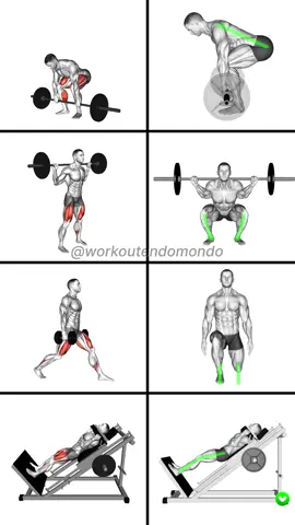 Master your leg day with proper form! 💪🔥 Learn the right vs. wrong positions to maximize gains and avoid injuries. Perfect your squats, lunges, and more with these tips. 🏋️‍♂️ 1️⃣ Deadlift: 3 sets x 8-12 reps ❌ Wrong: Rounded back, bar too far from the shins, and pulling with your back. ✅ Right: Keep your back straight, bar close to your shins, and drive through your heels. Engage your core and glutes as you lift. 2️⃣ Barbell Squat: 3 sets x 8-12 reps ❌ Wrong: Knees caving in, heels lifting off the ground, and leaning too far forward. ✅ Right: Keep your chest up, knees in line with your toes, and heels flat on the ground. Lower your body until your thighs are parallel to the floor and drive up through your heels. 3️⃣ Lunge: 3 sets x 10-12 reps per leg ❌ Wrong: Knees extending past your toes, leaning forward, and losing balance. ✅ Right: Keep your upper body straight, shoulders back, and core engaged. Step forward, lower your hips until both knees are at 90-degree angles, and push back to the starting position. 4️⃣ Sled Hack Squat: 3 sets x 10-15 reps ❌ Wrong: Hips rising too early, knees caving in, and feet positioned too far forward or back. ✅ Right: Keep your back firmly against the pad, feet shoulder-width apart. Lower yourself until your thighs are parallel to the ground, then push back up through your heels. #LegDay #FitnessTips #FitnessGoals #musclebuilding #GymTok #GetFit #Endomondo