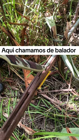 Conhece o balador? Como vocês conhecem ai ? #viral #viralditiktok #videoviral #cultura 