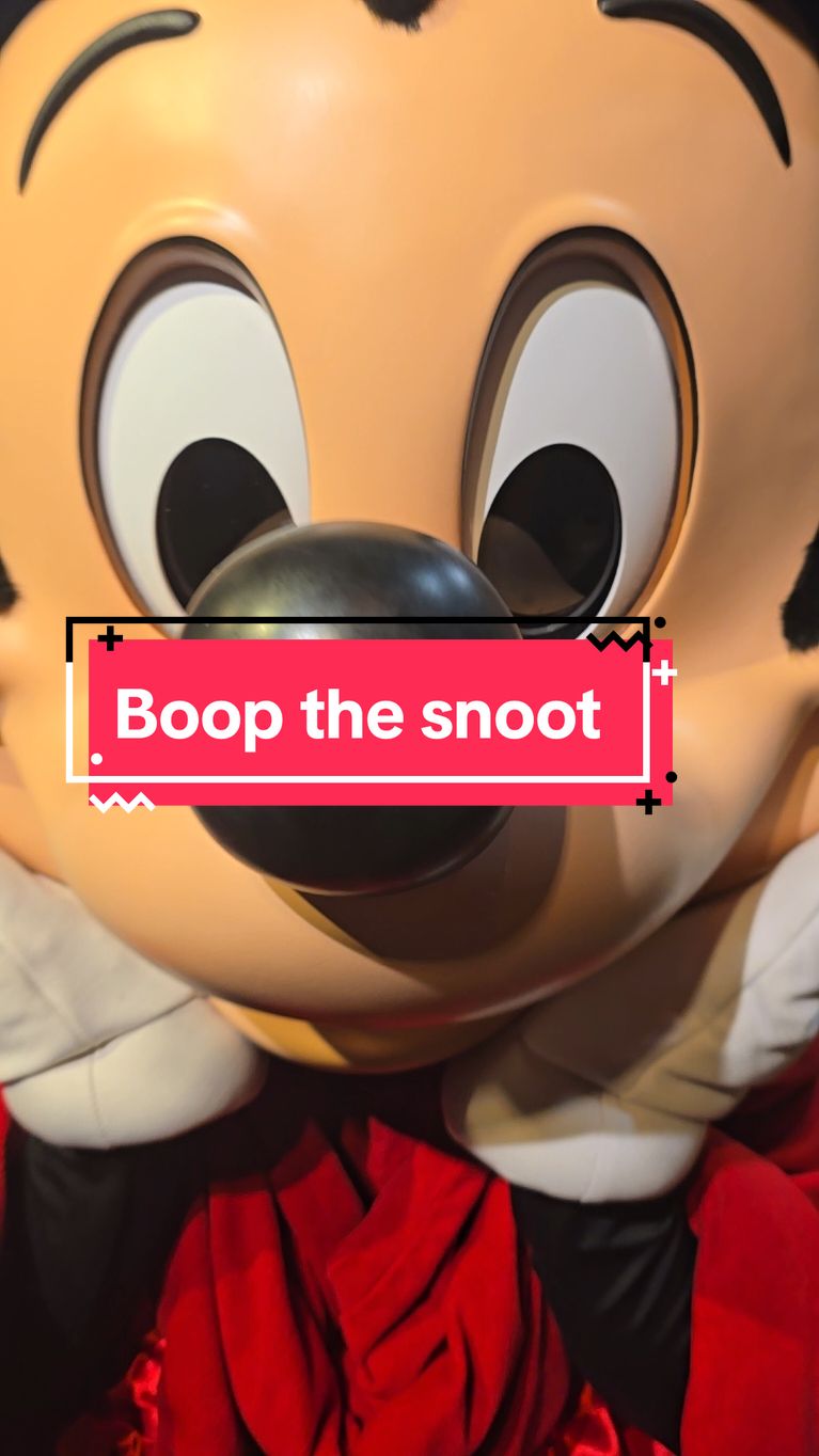 Every time I see that little Mickey Mouse nose, all I want to to is to boop it!   Did you know that Mickey's nose actually moves?   it's seriously the cutest thing!  next time you visit the boss, give that little nose a boop! 📍Sorcerer Mickey,  Red Carpet Dreams, Disney's Hollywood Studios,  Walt Disney World,  Orlando Florida  #disneyvacation #disneyparks #waltdisneyworld #disneytravel #wdwap #disneyadult 