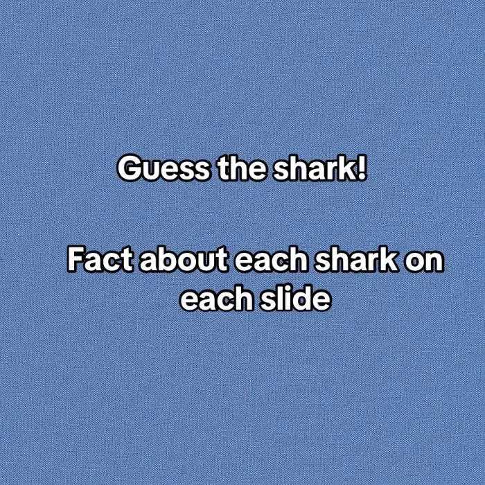 #fact #sharkfact #sharkfacts #sharkoftheday #funfacts #funfactoftheday #sharkys #guesstheshark #factoftheday #shark #sharks #underthesea #ocean #savethesharks #fyp #fypage #fypp 