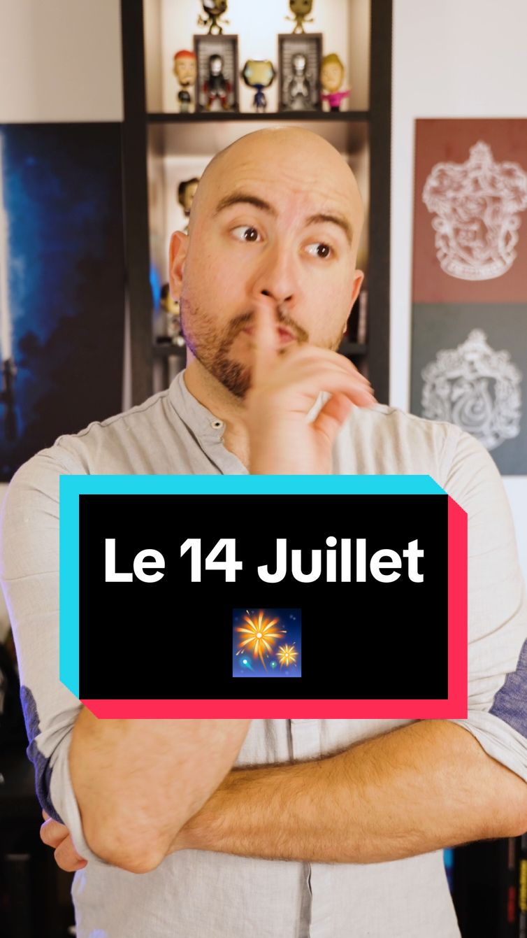 voilà comment c'est passé nôtre 14 Juillet 🎆, avec @Aslan_D_Viking 🦁⚔ et @💄Le Monde D’Émi 💄#humour #fireworks 