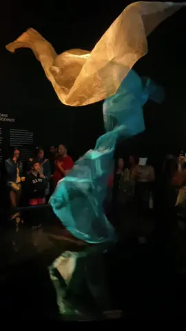 Danca dos lenços, uma das artes q me sinto prestigiado por ter visto pessoalmente #museudoamanhã #arte #oceano #fyp #seila #fypシ #fyp #fypage 