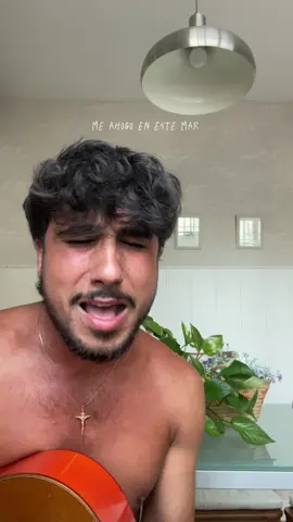 Al Alba❤️‍🩹 @Luis Cortes  #viral #fyp #parati #foryou #alalba #flamenco #cover 