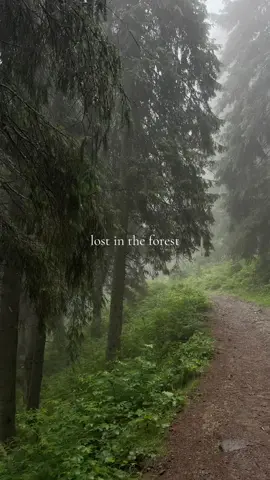 #carpathians #mountains #rain #Hiking #hikingadventures #forest 