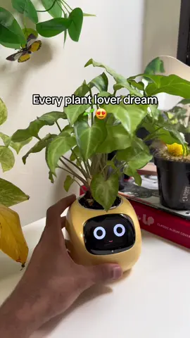 This is every planter dream!! 🌱🥰 #plants #nature #flowers #foryoupage #trending 