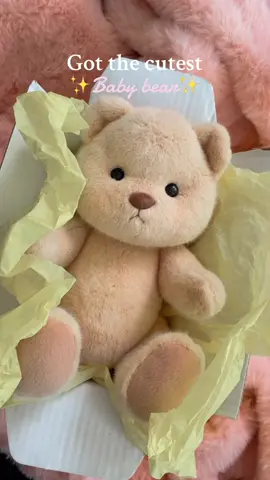 Yes, Chef 🫡 Jeremy Allen si fuera un osito 🧸 @getahug #getahugco #getahug #giftidea #giftideas #teddybear #cute #gift #baby 