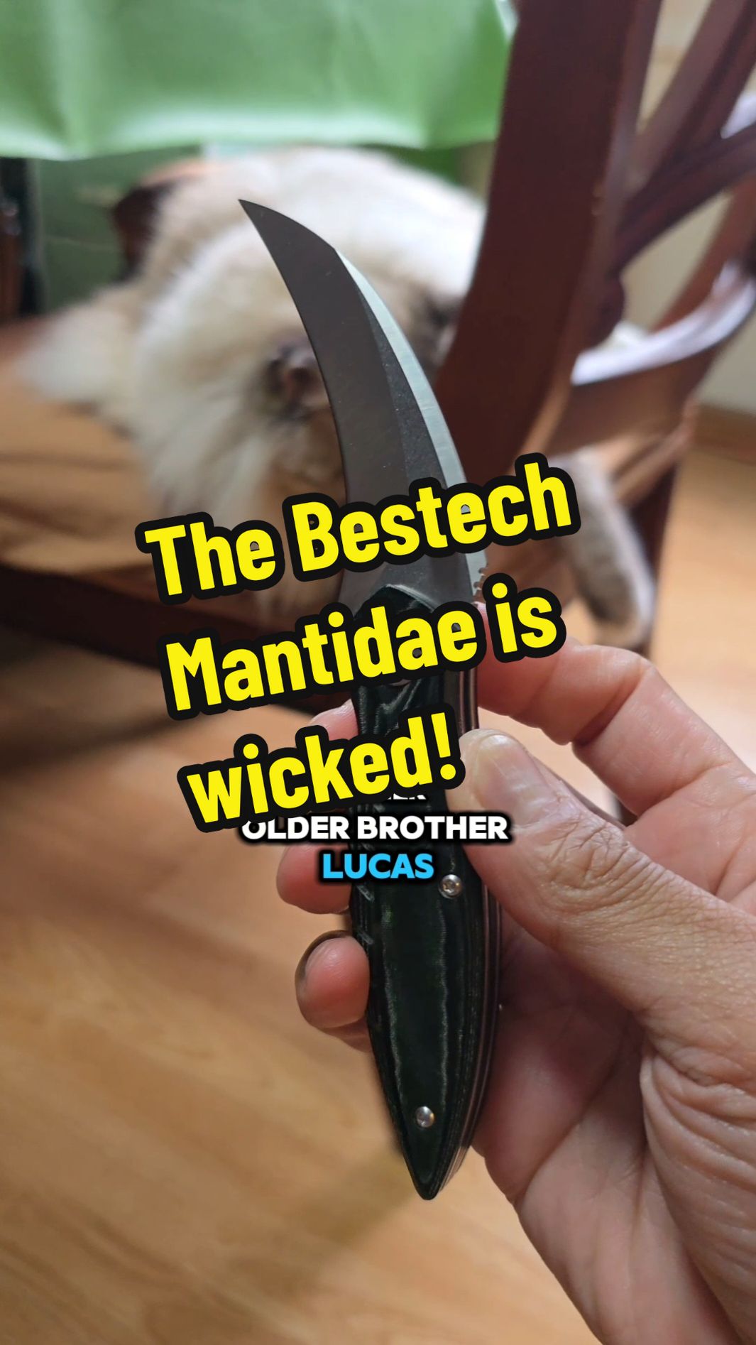 The Mantidae from Bestech is a wicked blade that won't break the bank.  14c28n with micarta for under 60 bucks.  This one is dropping on July 26, 2024.  I will drop another video on release day.  #edcknife #edc #everydaycarrygear #everydaycarry 