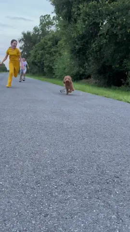 #dog #happydog 