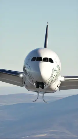 Aeromexico Boeing 787 Dreamliner “Quetzalcoatl” Livery #aviation #msfs 