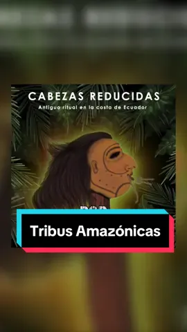 TRIBUS AMAZÓNICAS Hacían Rituales Perturbadores… como el TZANTZA ☠️👀 | Que gran experiencia @Napo Wildlife Center 🫶🏼🌱 #amazonas #tribu #tzantza #ecuador #amazonjungle #jungla #selva #vidasalvaje #cultura #tribe #fyp #foryoupage #CapCut 