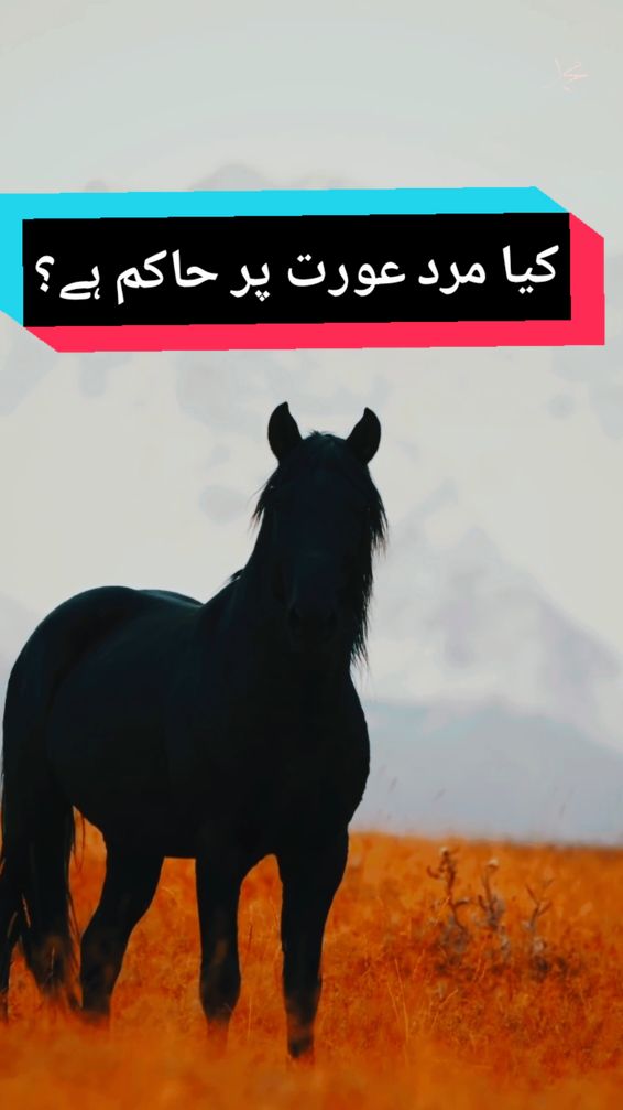 کیا مرد عورت پر حاکم ہے؟ #fyp #viral #byan #islam #foryoupage #fypシ゚viral @TikTok @tiktok creators 