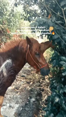 #CapCut 