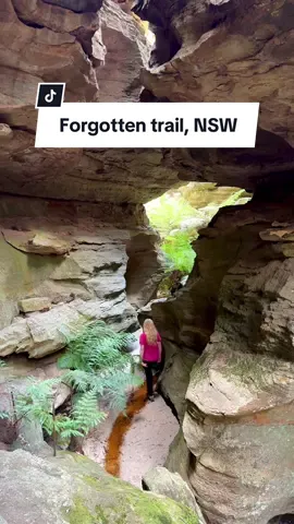 A hidden gem down a forgotten trail in the Valley of the Dinosaurs 🦖 #sydney #australia #nsw #visitnsw #sydneyaustralia #bluemountainsaustralia #bluemountains #sydneyhikes #tiktokaustralia 