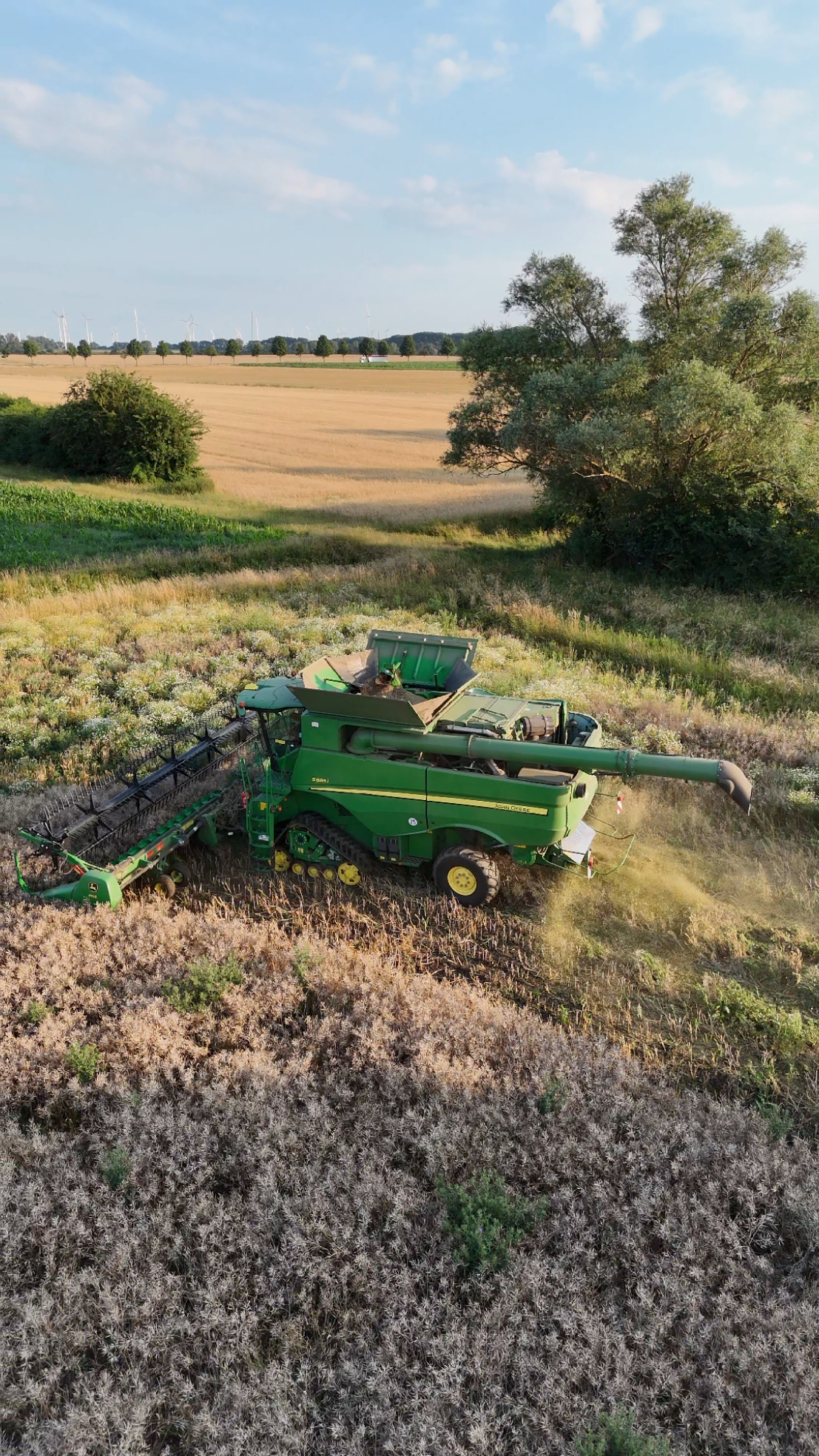 #johndeere #johndeeres685i #mähdrescher #drescher #dreschen #raps #rapsdreschen #rapsernte #ernte #ernte2024 #landwirtschaft #altmark #2024 #fyp #viral #altmark_steven 