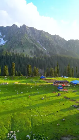 Aisa Deees hain Hamara  Jazz Banda Dir Uper Khyber Pukhtunkhwa  #mirzo_latif #mirzo_latif_2 #mirzo_latif_official #jaazbanda #exploredir #nature #jazzbanda #pahadii #thorchaymeadows #pakistan #beutiful #tourism #arankel_azad_kashmir #kel #arangkel #neelamvalley #kumrat_valley #katoralake #travellife #kashmir #foryoupage 