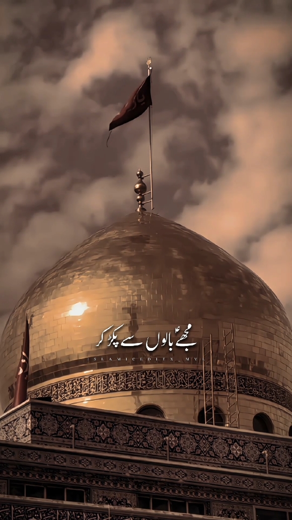 JAB MUJHE AAPKE QATIL NE HAI MARA BABAع😭🙌🥺#mola #imamali #imamhussain #imamhassan #abbas #fatima #zahra #sakina #zainab #karbla #edit #muharram #2024 #ahlulbayt #akbar #shia #status #shiastatus #capcut #trending #viral #fyp 