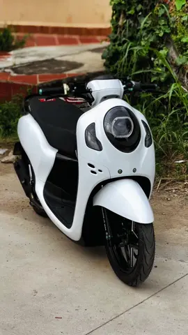 Simple simple🤟🏻🤍🐼 #vietnamstyle🇻🇳 #scoopymodifikasi #TOPSECRET🇰🇭 #streetbikecambodia🇰🇭 