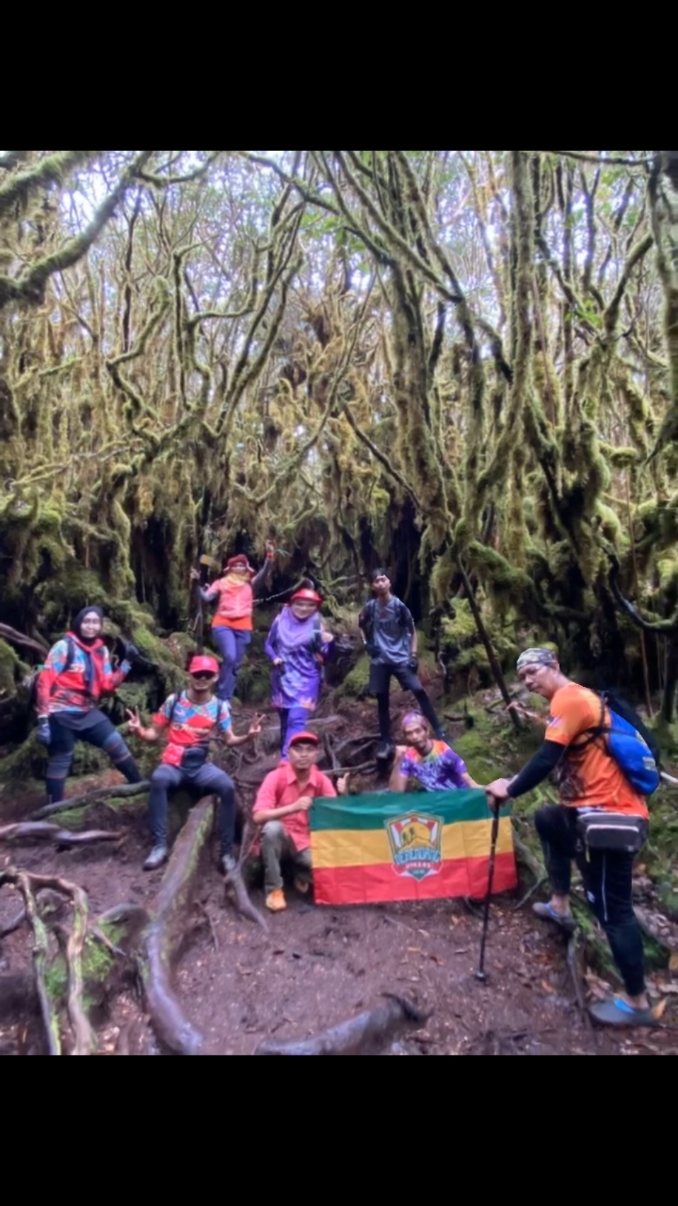 Keindahan mossy di Gunung Irau via Mossy Forest. #luffyadventures #merendanghikers #gunungiraucameronhighlands #mossyforest #lordoftherings #cameronhighlands #pahang #fyp 