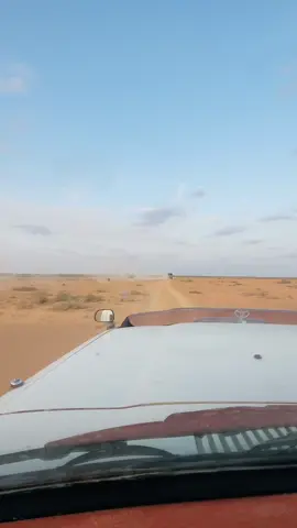 Dhayne jookar wado ileen Laylo ma gaadho 🙆‍♂️ #safar #hees #raf #fyp #puntlander🇸🇱 #somalitiktok #bosaso #sanaag #tpic #motimocade #lancruiser #vx #mogadishu #baydhabo #galkacyo #kismayotiktok 