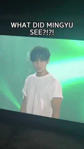does someone have mingyu caratland day2 reaction to this. What did he say?! Like he was smiling and then he looked serious but then his expression was confusing… like was it good or bad?! #mingyu #seventeen세븐틴 #mingyuseventeen #민규 #kimmingyu #svt #caratland2024 #caratland #carat #캐럿 