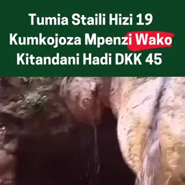 Bofya Link kwenye profile Kuzipata Staili 19 Kama Unataka Kumkojoza Mpenzi Wako Kitandani  . . . Kuwahi kufika kileleni kuchelewa Kurudia bao la pili Uume kusinyaa na kuwa mdogo kama wa mtoto kukosa hamu ya tendo la ndoa  . . . #AfyaYaKiume #NguvuZaKiume #lishe #recipes #NguvuYaAsili #tanzaniatiktok 