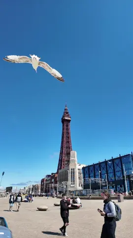 Blackpool Scorching weather, beautiful day #blackpool #beach #promenade #seasidebeach #trend #viral #viralvideotiktok #holidaydestination #fyp #fyp #foryou