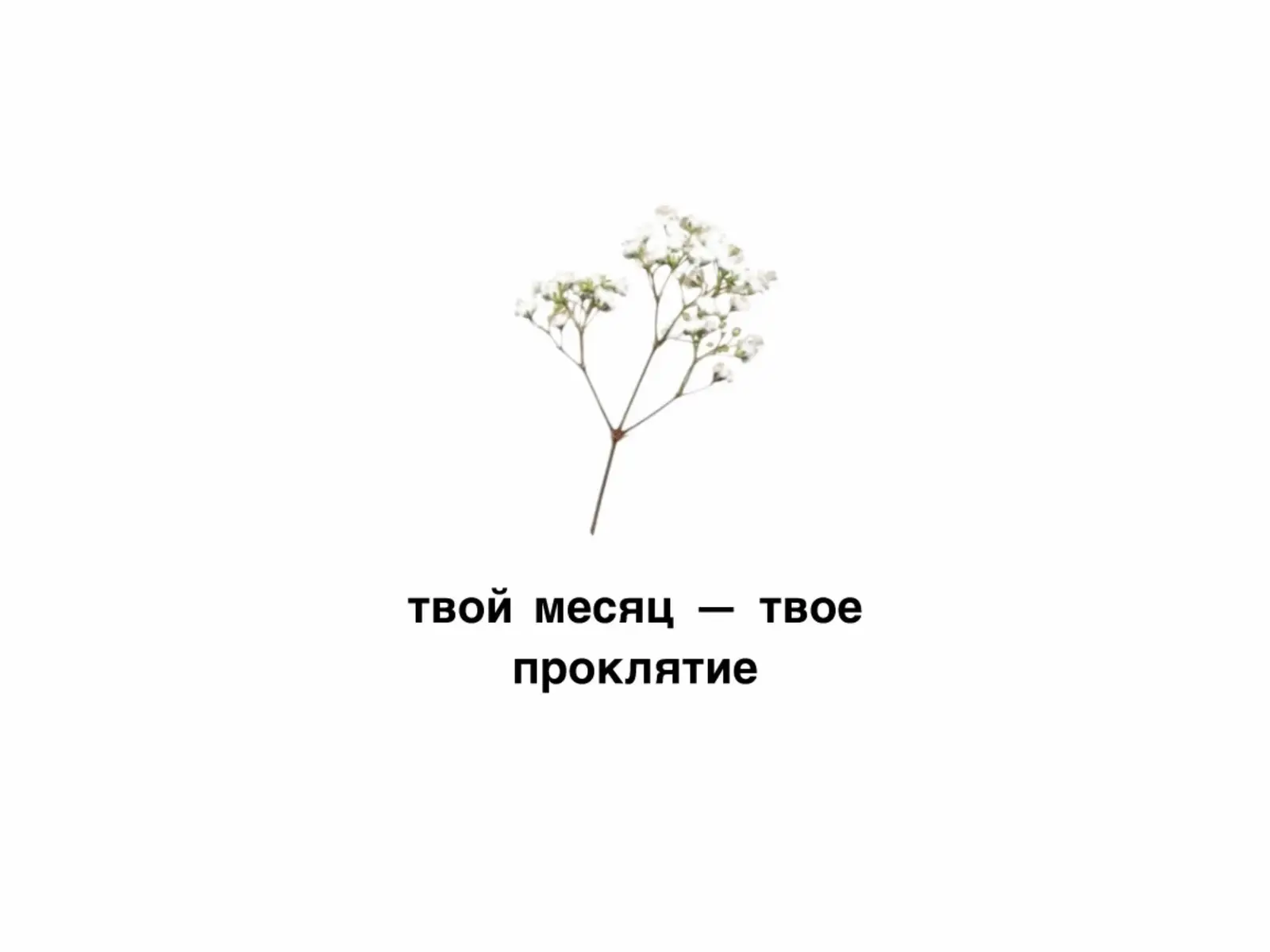 ❗️В ВИДЕО ПРИСУТСТВУЮТ ТРИГГЕРЫ, БУДТЕ ОСТОРОЖНЫ❗️#твоймесяцтвоепроклятие #твоймесяц #рек #рекомендации #fyp 