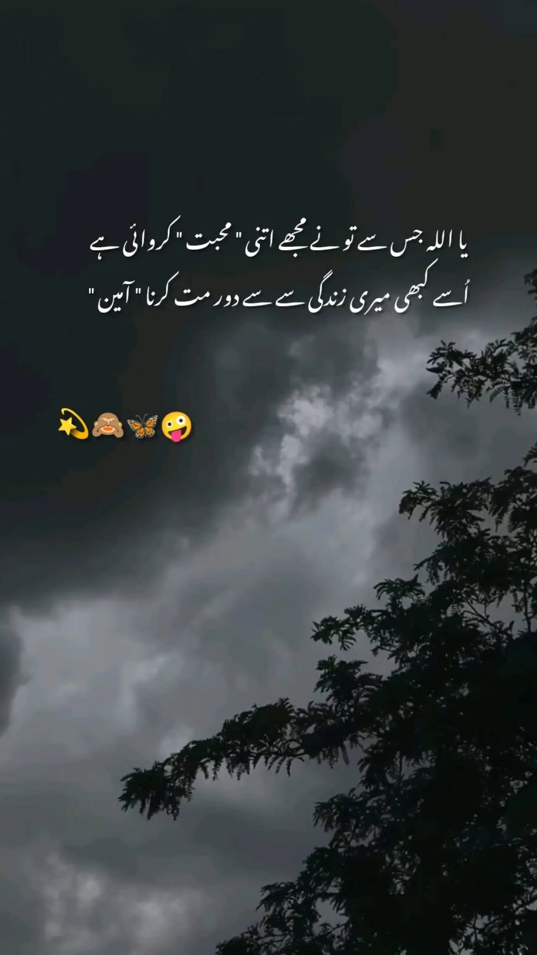 Sab ameen bolo.... #photography #foryoupageofficiall #foryou #subhanikashmiri❤️💜🥰 