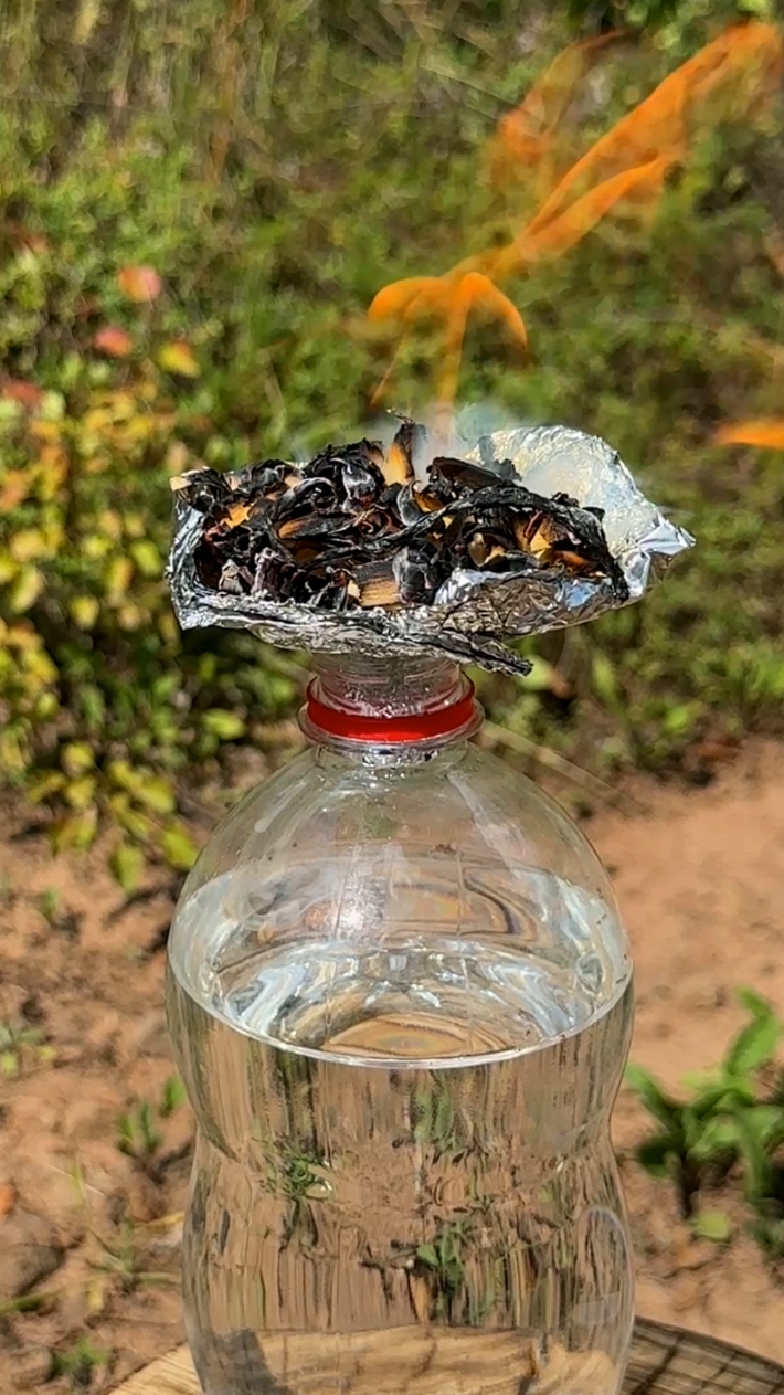 Amazing Lifehack: Smoked Olive Oil in the Wild. #survival #lifehacks #ideas #camping #Outdoors #skills #forest #bushcraft 