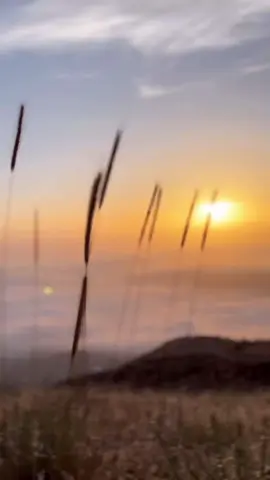 #مساء_الخير  #يا دنيا تهدي عليّ #غروب #الشمس #حزين #طبيعة #sunset #🥺💔 #💔🥀 #🥀🖤 #🖤 #🥺 #💛 #🧡#اكسبلور #viralvideo #viral #explore #explorar #fyp #fypシ #foryoupage #fypシ゚viral #like #follow #comment #sadness #followers #