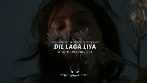 Dil Laga Liya ❤️ Mene Tumse Pyar Karke 🌺🥀🎧 (Slowed Reverb) #dillagaliya #osaahiba #indian #viral #hindioldsong #goviral #plzunfrezemyaccount🙏 #plzsupport #plzviral 
